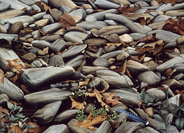 Blue-Jay-Feather-in-Rocks