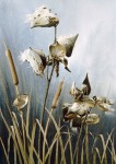 Cattails with Milkweed and Wren