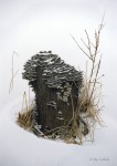 Snow Stump with Turkey Tail Fungus
